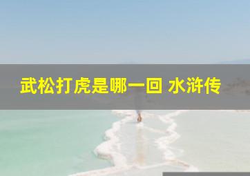 武松打虎是哪一回 水浒传